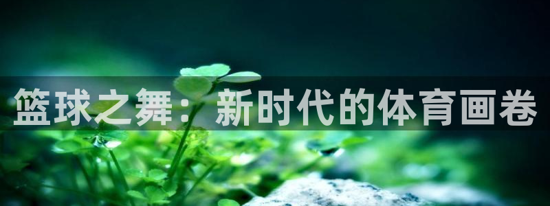 熊猫体育比赛直播