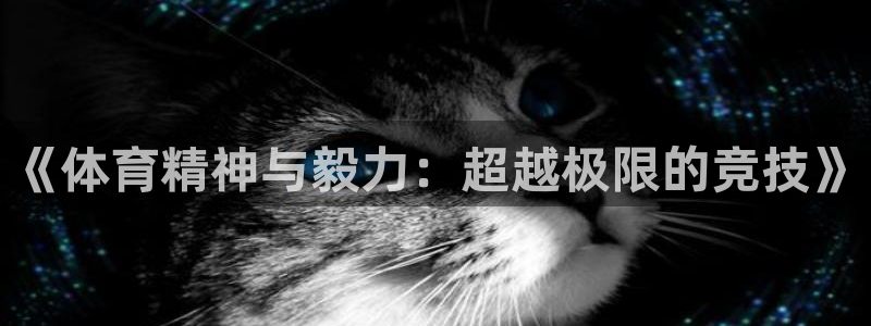 熊猫体育在线观看