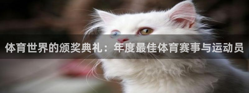 熊猫体育怎么样