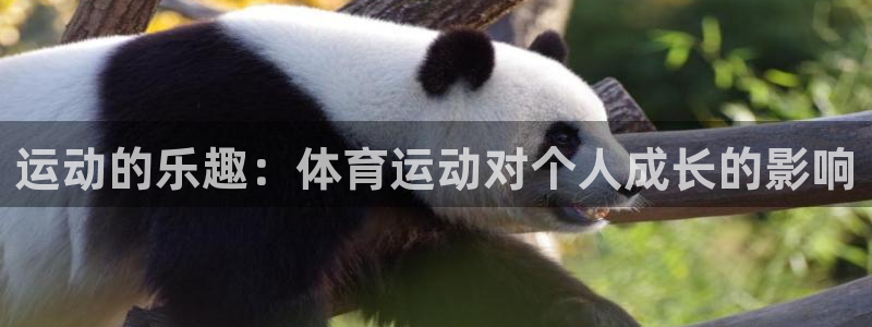 熊猫体育