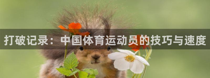 成都金熊猫体育