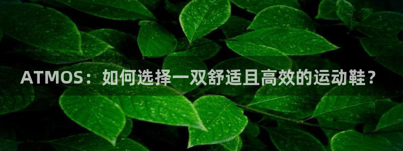 181熊猫体育