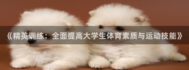 中山熊猫体育
