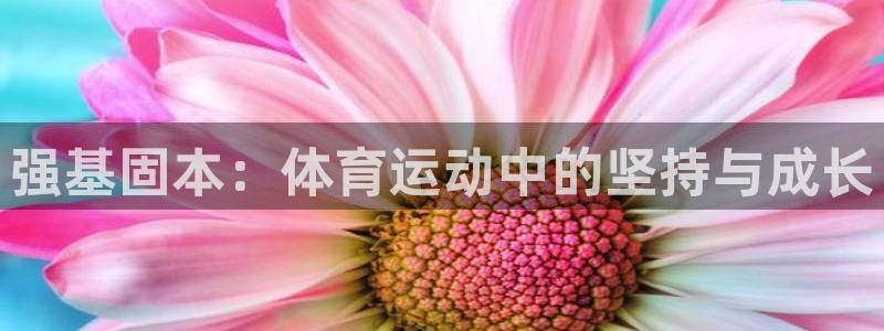 熊猫体育比赛直播