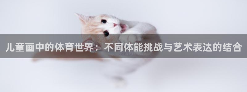 熊猫体育app官网入口