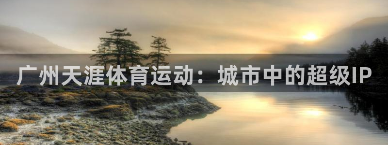 熊猫体育网址