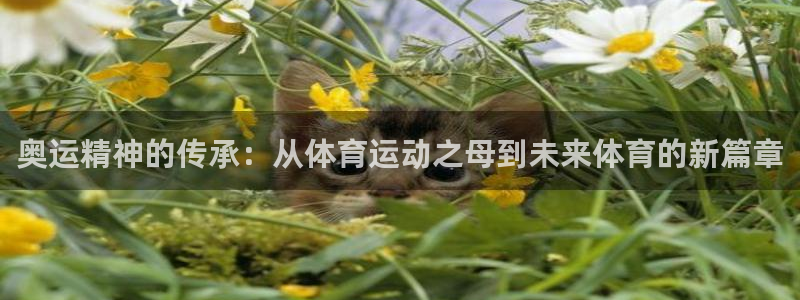 动感熊猫体育公园