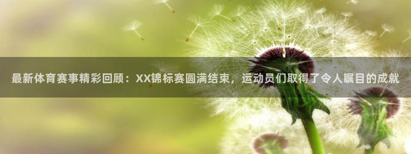 成都金熊猫体育
