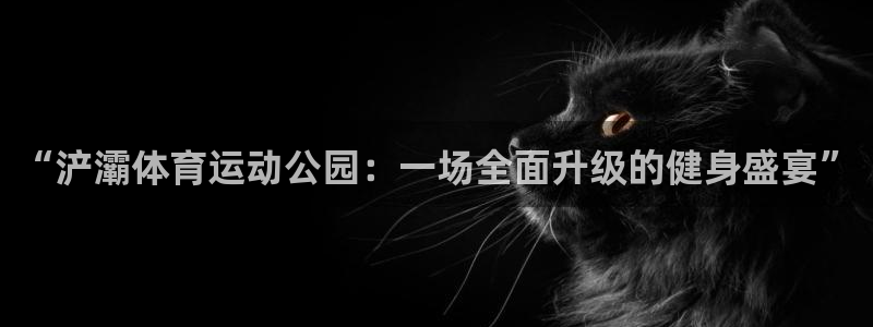 熊猫体育sports