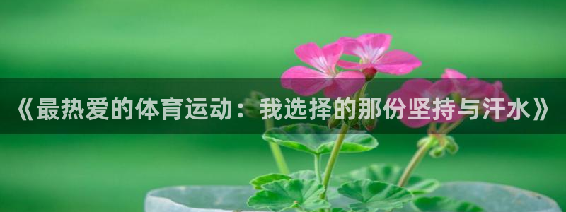 熊猫体育文化有限公司