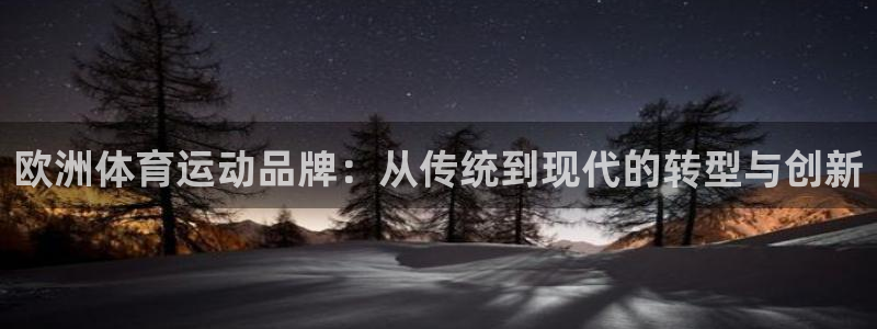 181熊猫体育
