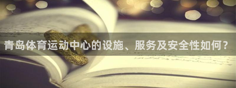 熊猫体育v3.新网页.org