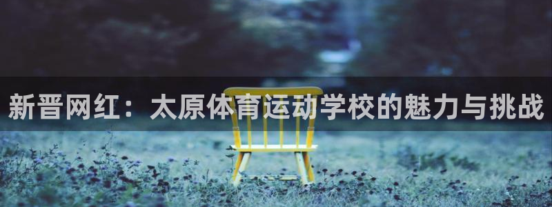 熊猫体育在线观看