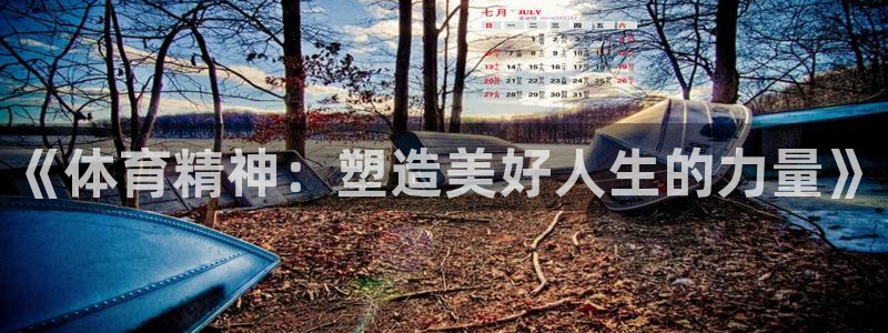 熊猫体育在线观看