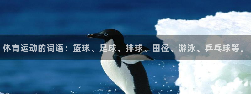 熊猫体育直播nba