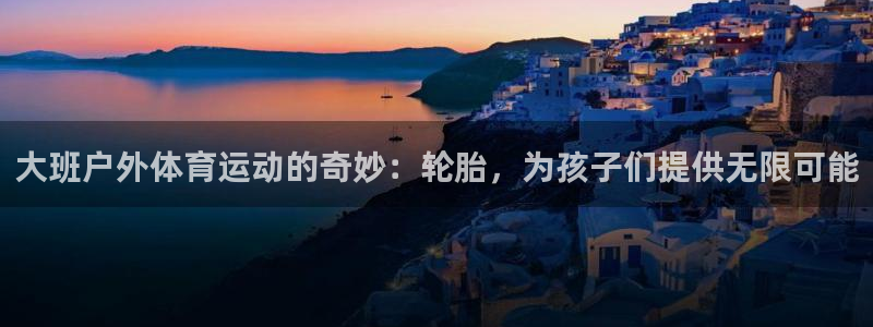 熊猫体育平台官网