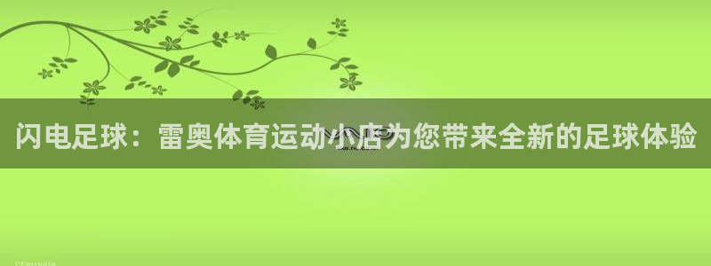 熊猫体育文化有限公司