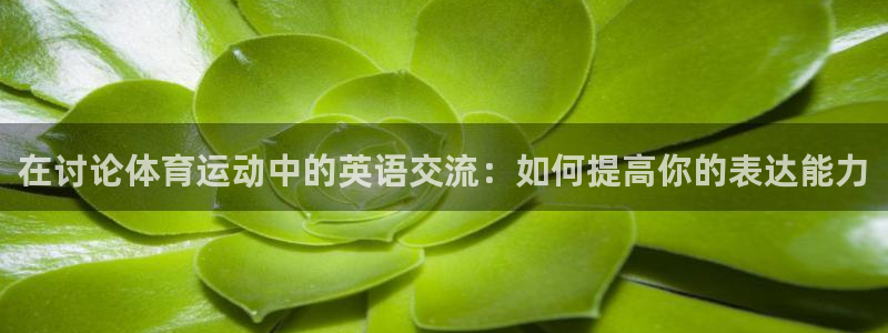 成都金熊猫体育
