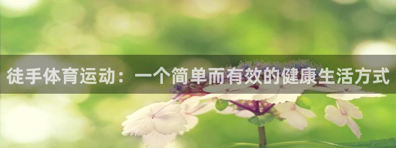 熊猫体育在线观看